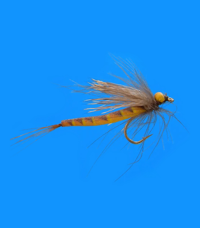 MS0336