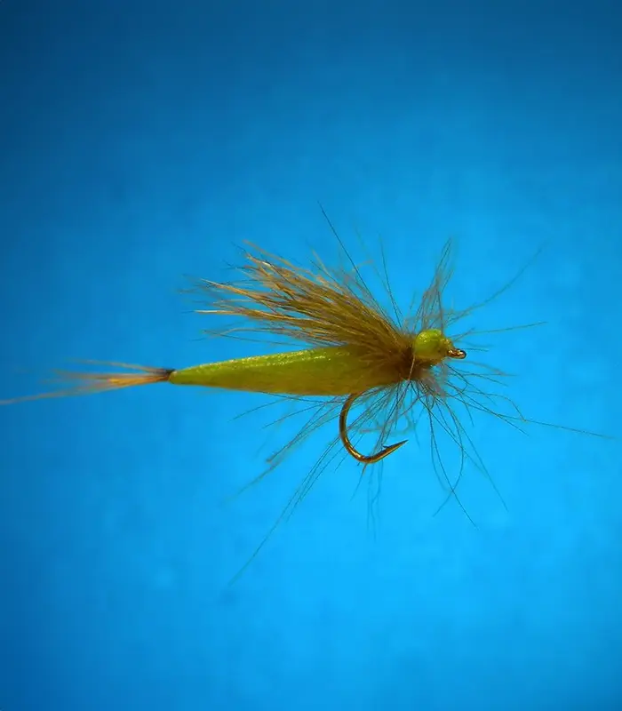 MS0338