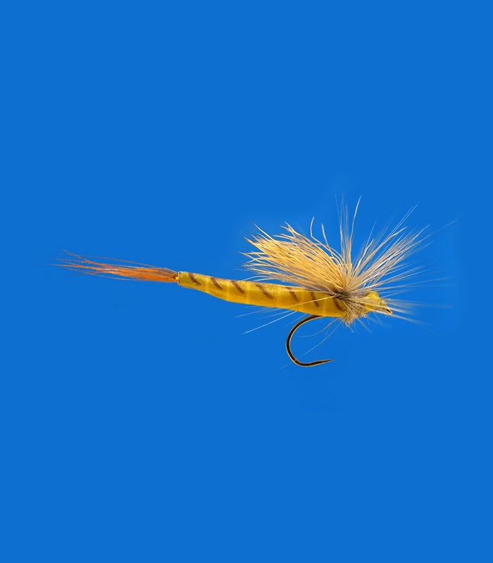 MS0339