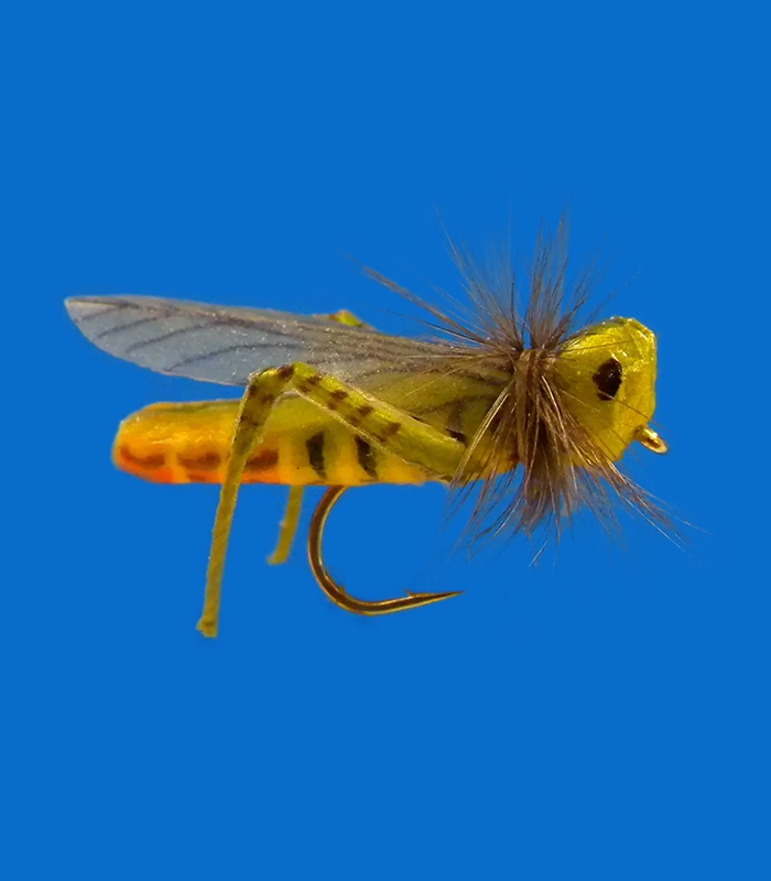MS0348