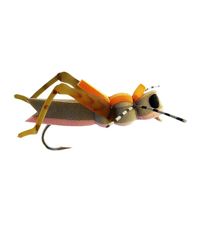 MS0349