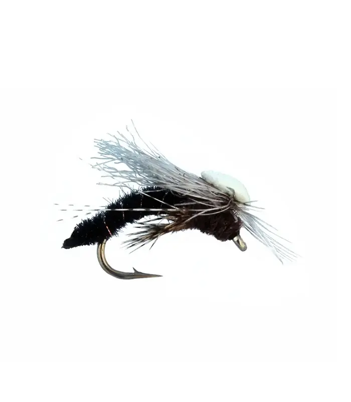MS0366