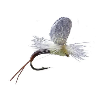 MS0546