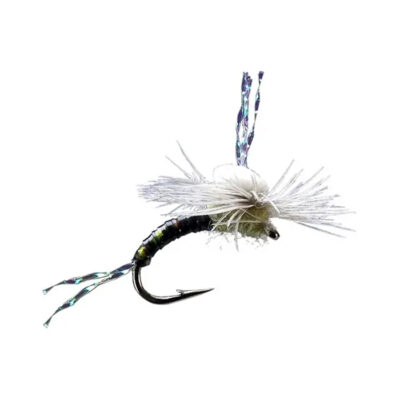 MS0549