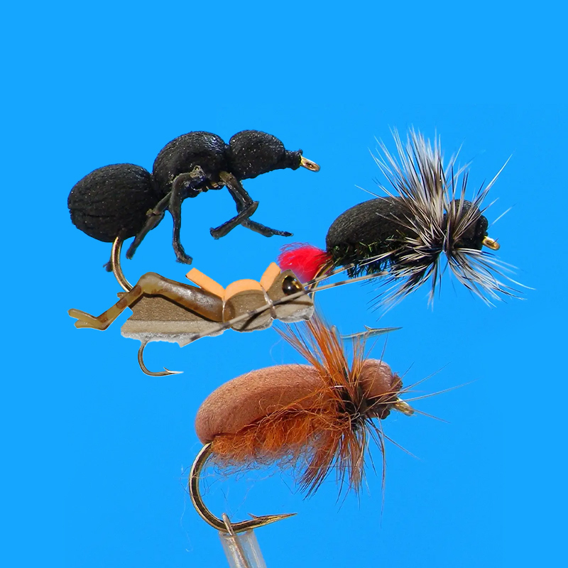 800x800_terrestrials