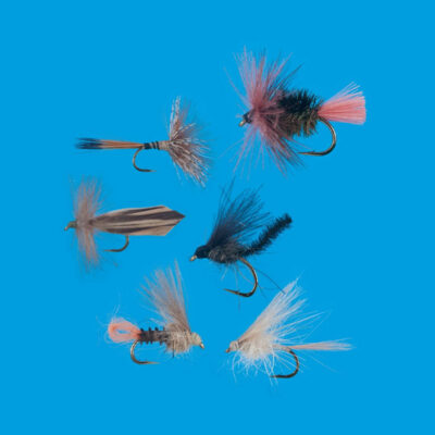 800x800_cdc