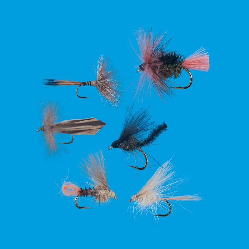800x800_cdc