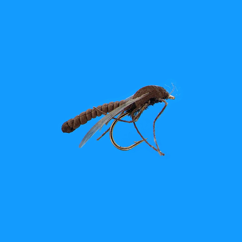 800x800_libellule