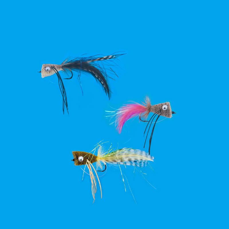 800x800_popper