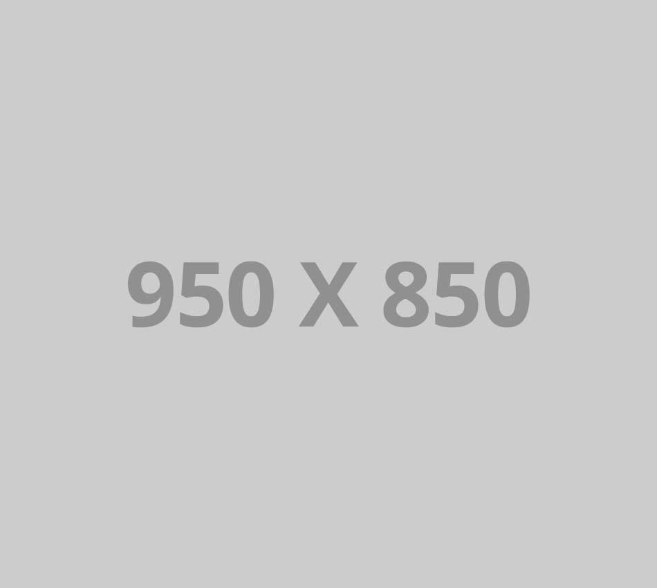 950x850-ph - Copia