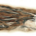 VENIARD - MICRO ZONKER PINE SQUIRREL WHOLE SKIN