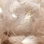 J. PARKER - CUL DE CANARD WILD PUFF